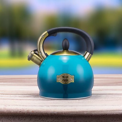 Whistling Tea Kettle Stove Top Teapot, Stainless Steel Teakettle (2.8 Quart, Blue)