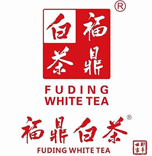 Silver Needle White Tea, Premium White Tea Best white tea with all tippy – 1.5 Oz in Tea Tin