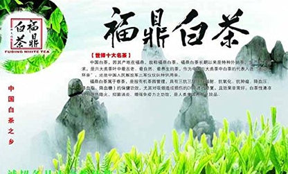 Jasmine Silver Needle White Tea,best white tea with all tippy- 1 LB Tea