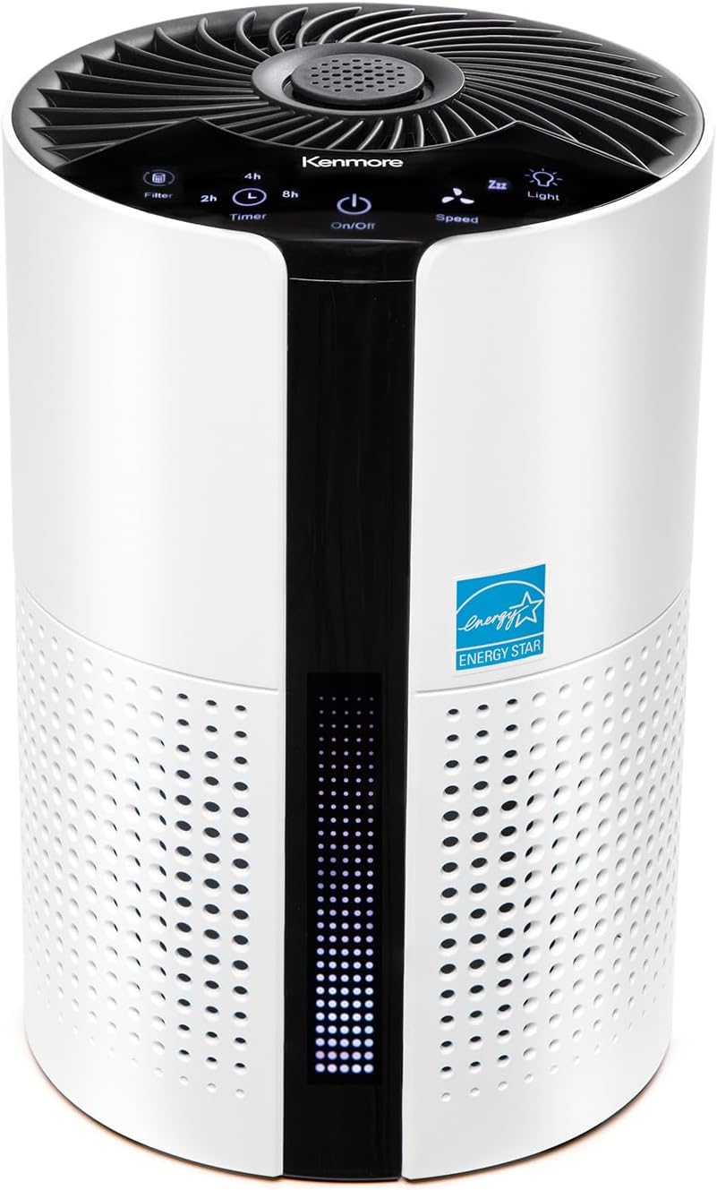 Kenmore PM1010 Air Purifiers for Bedroom Up to 348 Sq.Foot with H13 True HEPA Filter, Child Lock, Sleep Mode for Small Rooms