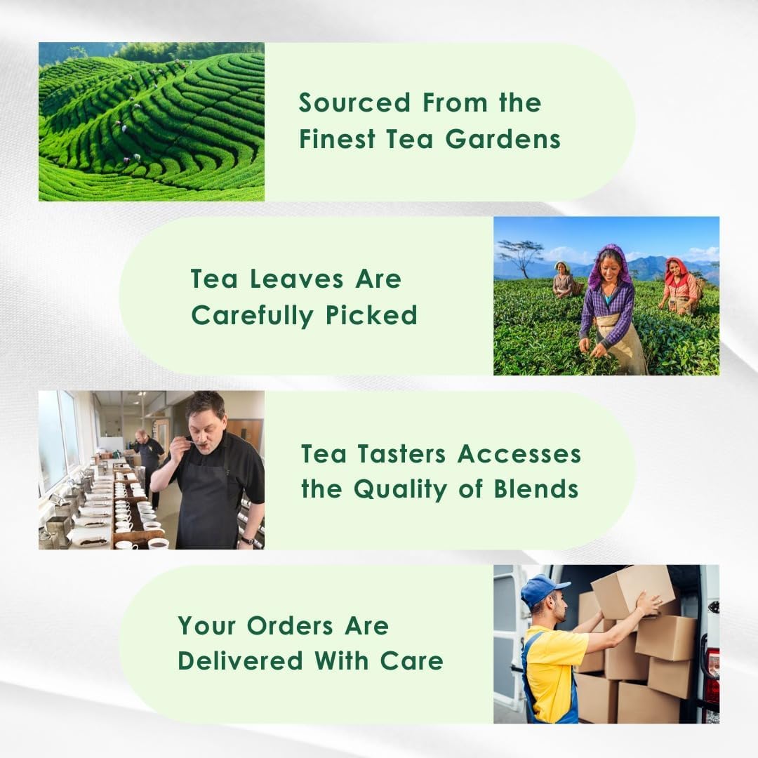 Tealeaf & Co. Classic Green Tea Loose Leaf - 100% Organic Green Tea - Contains Low Caffeine - Upto 50 Servings - Gluten Free (3.52oz/100gm)
