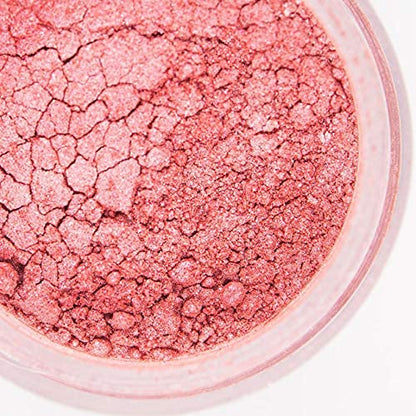 Luster Dust Edible Cake Decorations, Red Edible Luster Dust for Cakes, Edible Red Dust for Cupcake Decorations, Red Fondant, Red Cake Drip