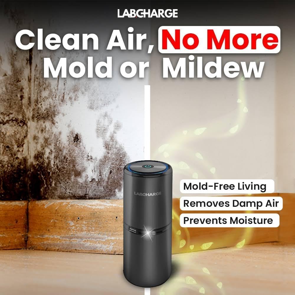 LabCharge Small Ionic Air Purifier for Home & Bedroom – Silent HEPA Filter – Covers 250 Sq Ft - Free Cleaner for Pets, Hair, Smoke, Dust, Odors & Dander – Compact & Black Design - Pack of 5