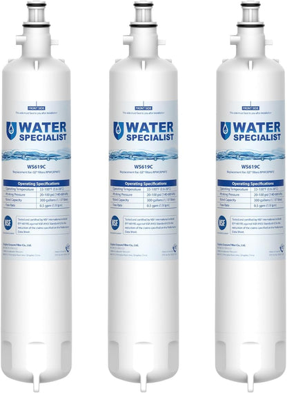 Waterspecialist Replacement for GE® RPWFE®, RPWF (Built-in CHIP) Refrigerator Water Filter, Compatible with GYS22GMNES, GYE22HSKSS, PYE22PELDS, GFE26GMKES, GFE26GGHWW, PFE28KYNFS, 3 Filters