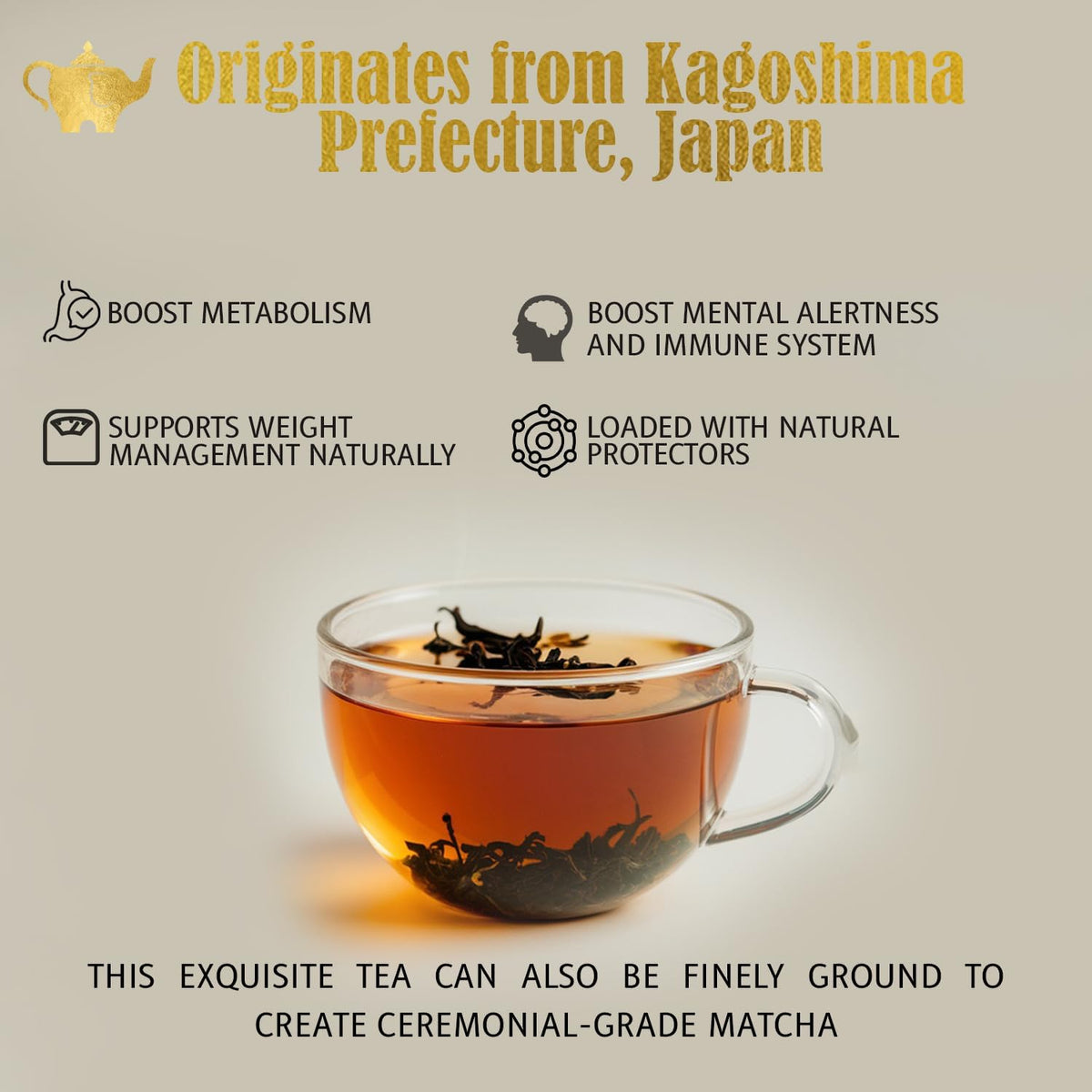 Japanese Sencha Green Tea, Organic Loose Leaf Sencha Tea – Antioxidant & Detox Support – Refreshing Hot or Iced Green Tea – 8 oz Resealable Bag (Makes 100 Cups) – The Elegant Elephant