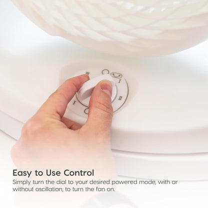 IRIS USA WOOZOO Desk Fan, Oscillating Air Circulator, 3 Speeds, 36ft Max Air Distance, 244ft² Coverage, 112° Adjustable Vertical Tilt, 29db Quiet Motor, Small Fan for Bedroom, Office, Dorm, White