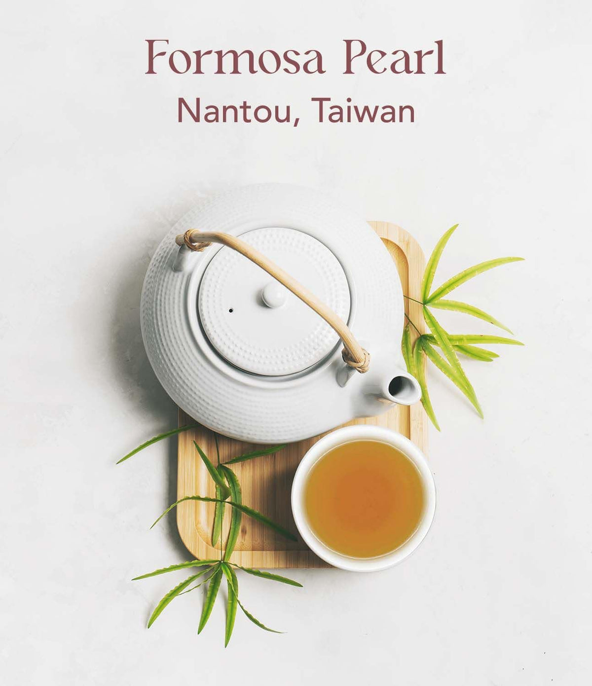 OOTINE, Formosa Pearl Taiwan Oolong Tea Bags (12 Sachets) | Roasted Nutty Notes | Hand-Picked Quality Whole Leaves in Plant-Based Sachets | Caffeine Alternative, Daily Antioxidant Support | Multiple Infusions