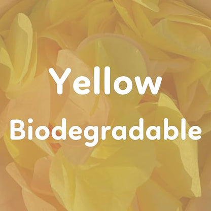 2 Pack Confetti Cannon Confetti Poppers | Biodegradable Yellow Confetti | TUR Party Supplies | Launches Up to 25ft | Giant (12 in) | Party Poppers for Graduation, Birthdays, Weddings, and Memorial Day