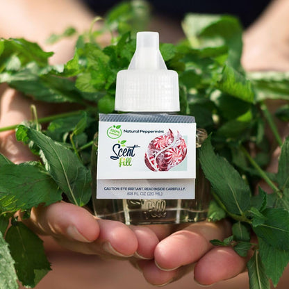 Scent Fill 100% Natural Peppermint Plug in Air Freshener, 4 Scented Oil Refills