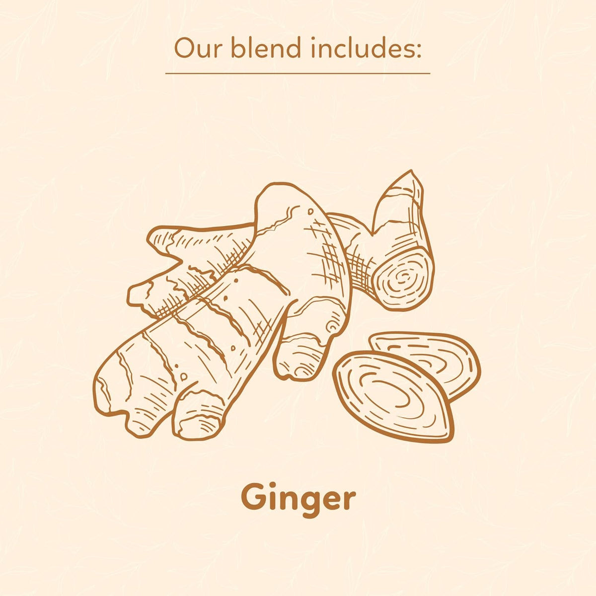 Indochine Blends, Ginger Tea Bags, 50 Teabags, 2g/bag, Individually Wrapped Envelopes, Caffeine-free, No Sugar