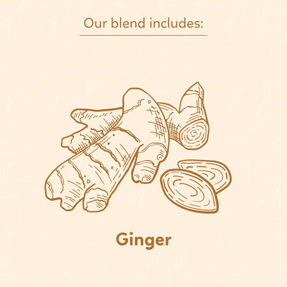 Indochine Blends, Ginger Tea Bags, 50 Teabags, 2g/bag, Individually Wrapped Envelopes, Caffeine-free, No Sugar