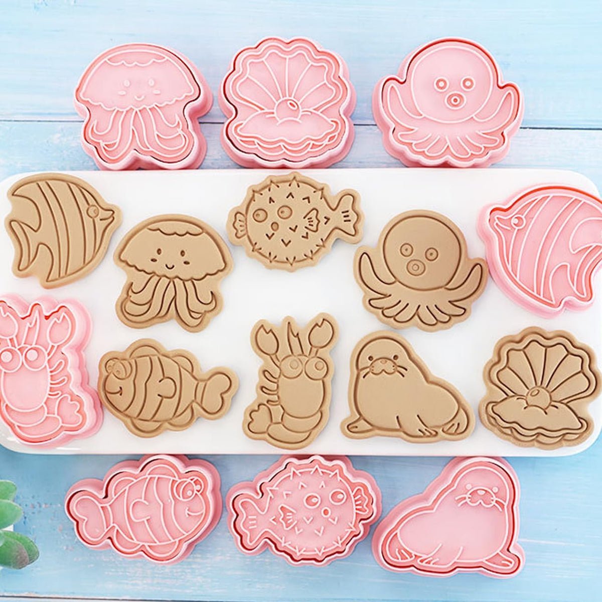 16Pcs Ocean Animal Cookie Cutters with Plunger Stamps Set, Fish, Dolphin, Starfish Plastic Biscuit Cutters