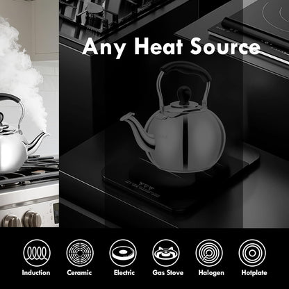 Stovetop Tea Kettle with Whistle - 2.0 Quart 18/8 Stainless Steel Tea Pot for Gas Stove &amp; Electric Coil Stovetop, Food-Safe, Easy-Pour Spout, Mirror Polished Classic Water Kettle