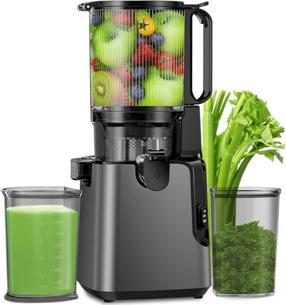 Juicer Machines with 5.8" Large Feed Chute, Cold Press Juicer For Whole Vegetables and Fruits, 400W Professional Slow Masticating juicer Easy to Clean for Batch Juicing (Titanium Gray)