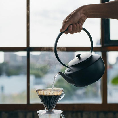 Balmuda MoonKettle, Electric Kettle with Temp Control (122°F - 212°F), Hold & Keep Warm, 900ml (30 fl oz), Soothing Ambient Light & Sound