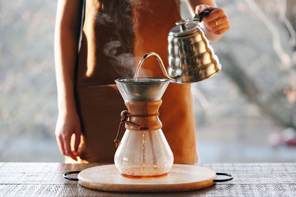 Barista Warrior Compatible with Hario V60 Pour Over Coffee Filters - Reusable Stainless Steel