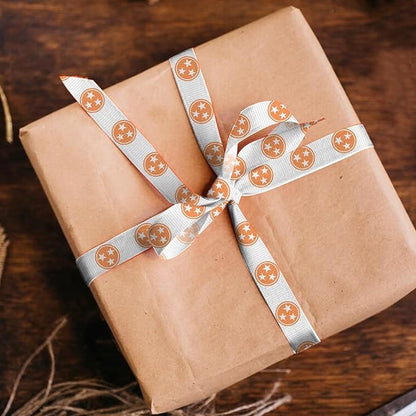 Hying 4 PCS Tennessee Ribbons for Crafting, 3/8" Width Orange White Grosgrain Ribbons Buffalo Plaid Ribbon Tennessee Letters Craft Ribbons for Gift Wrapping DIY Sports Birthday Decorations-20 Yards