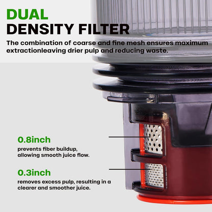 Cold Press Juicer, 5.4" Wide Feed Chute Juicer Machines for Vegetable and Fruit, Slow Masticating Juicer with AC Moter, Easy to Clean, AC-Grey