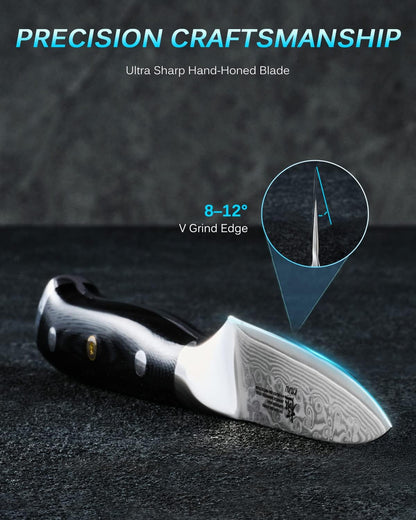 Kyoku Gin Series 3.5" Paring Knife - Japanese VG10 Damascus Stainless Steel Kitchen Knife With Silver Ion Blade, G10 Handle, Mosaic Pin - for Fruit