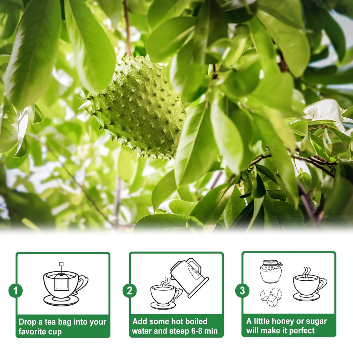 Tearelae - Soursop Leaves Tea - 1.5g x 50 Count - 100% Pure Soursop Graviola Leaves Tea Bag - Country of Origin Thailand