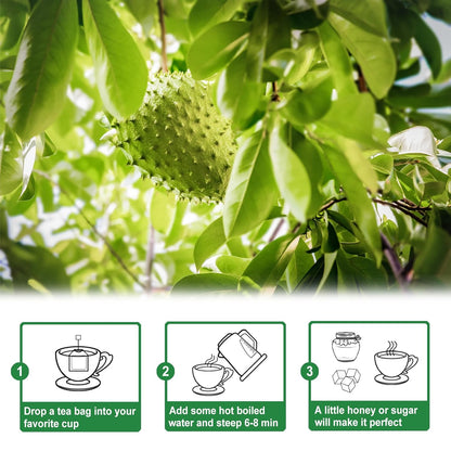 Tearelae - Soursop Leaves Tea - 1.5g x 50 Count - 100% Pure Soursop Graviola Leaves Tea Bag - Country of Origin Thailand
