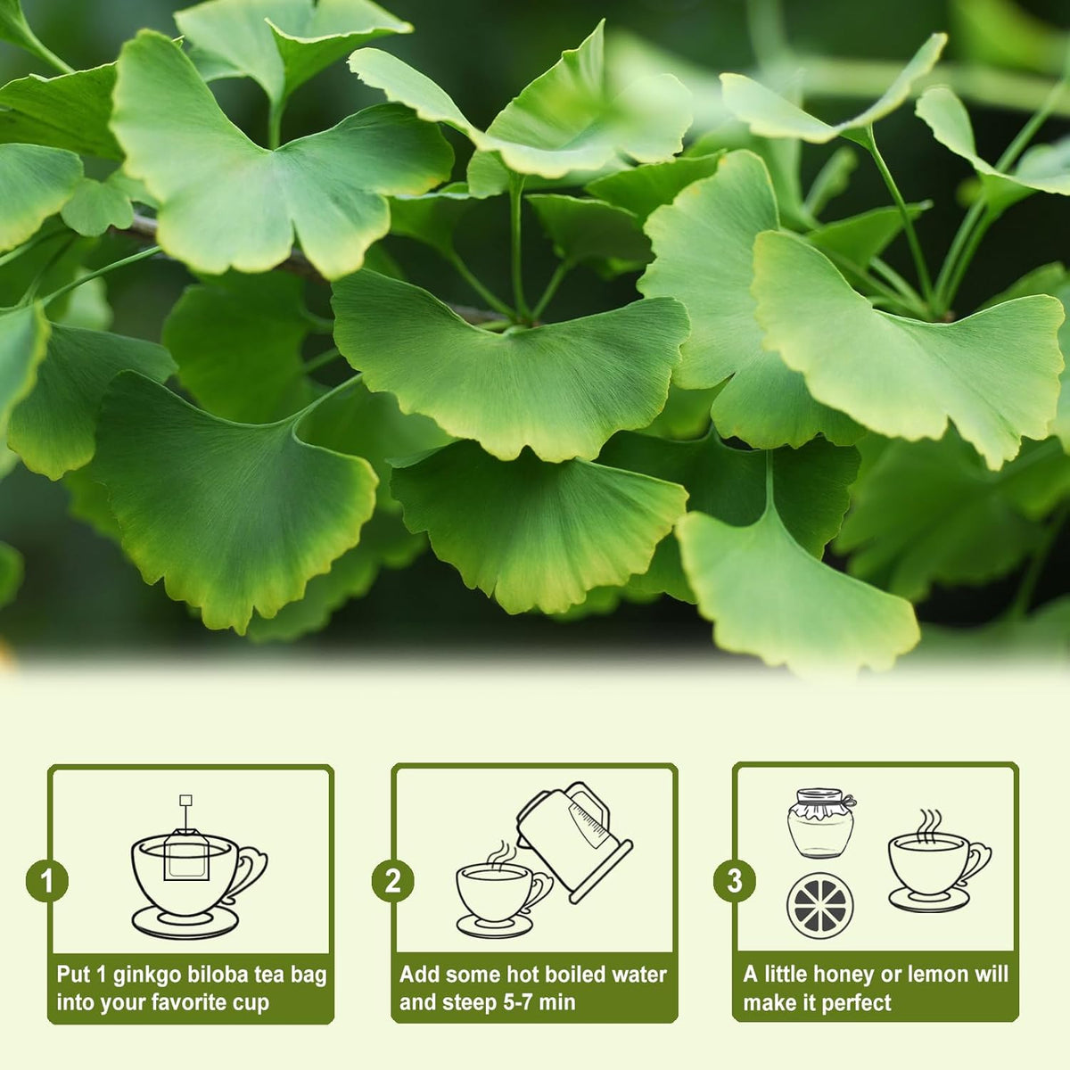 Tearelae - Ginkgo Biloba Tea Bags, 50 Count - 100% Pure Ginkgo Biloba Leaves - Non-GMO - Naturally Caffeine-free Herbal Tea