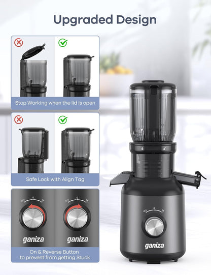 Ganiza Juicer Machines, Cold Press Juicer with 4.3" Large Feed Chute for Whole Fruits & Vegetables, Slow Masticating juicers with 3 Replace Filters for Batch Juicing, Easy to Clean, BPA Free (Black)