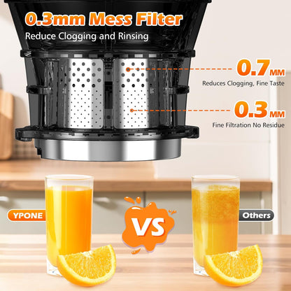 Juicer Machines with 5.8" Large Feed Chute, Cold Press Juicer For Whole Vegetables and Fruits, 400W Professional Slow Masticating juicer Easy to Clean for Batch Juicing (Titanium Gray)