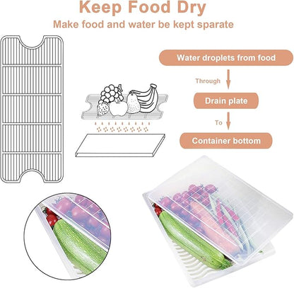 Food Storage Container, Plastic Food Containers with Removable Drain Plate and Lid, Stackable Portable Freezer Storage Containers - Tray to Keep Fruits, Vegetables, Meat and More (4,Large)