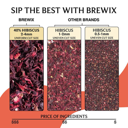 Brewix, Mango Passion Fruit Herbal Tea Bags – 25 Plant-Based Pyramid Bags, Iced or Hot, Hibiscus, Citrus Peel, Lemongrass