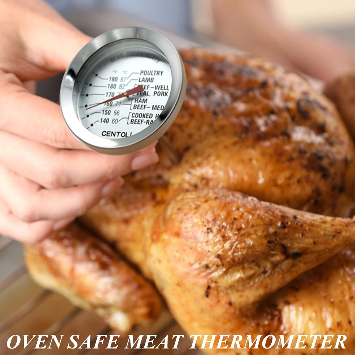 Meat Thermometer Oven Safe, 2 Pieces Dishwasher Safe Meat Thermometers for Cooking and Grilling