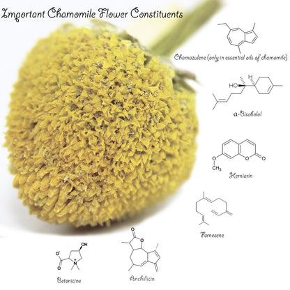 Chamomile Tea 1LB (16Oz) 100% Certified Organic (USDA seal) Chamomile Flowers Herbal Tea (Matricaria Chamomilla) in 1 lb Bulk Kraft BPA free