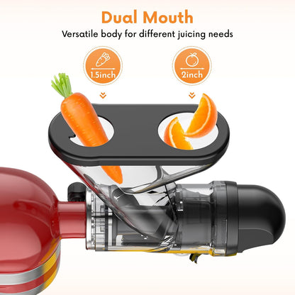 Masticating Juicer Attachment for KitchenAid Stand Mixer, Cold Pressed Juicer Machine, Slow Masticating Juicer Attachment with Dual Feed Chute and Pusher by FGREEBLE