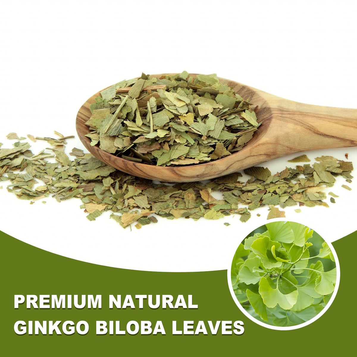 Tearelae - Ginkgo Biloba Tea Bags, 50 Count - 100% Pure Ginkgo Biloba Leaves - Non-GMO - Naturally Caffeine-free Herbal Tea
