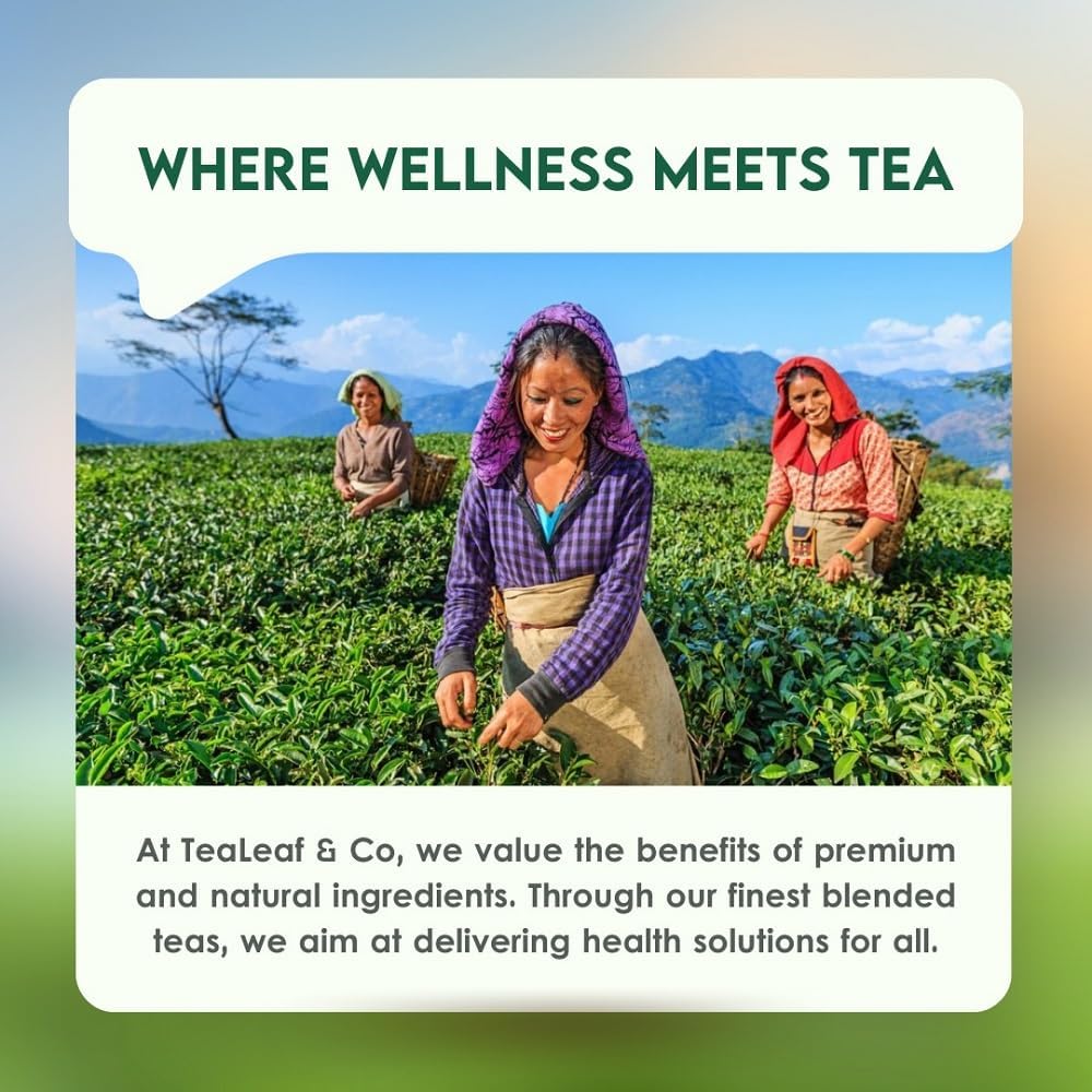 Chamomile Green Tea (3.5oz/100gm), Natural Herbal Infusion, 50 Tea Bags