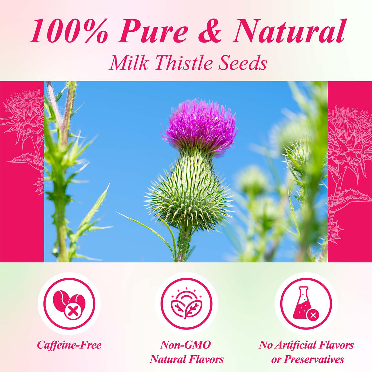 WT WEETEE Milk Thistle Tea Bags 100 Count, Made with 100% Pure Milk Thistle Seeds, Natural Caffeine-free Herbal Tea Detox Tea, Roasted Grain Flavor with Mild Sweetness