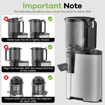 Cold Press Juicer, 5.3" Wide Feed Chute Juice Extractor Machine with 400W, High Juice Yield, Slow Masticating Juicer for Whole Vegetables & Fruits, Metallic Silver