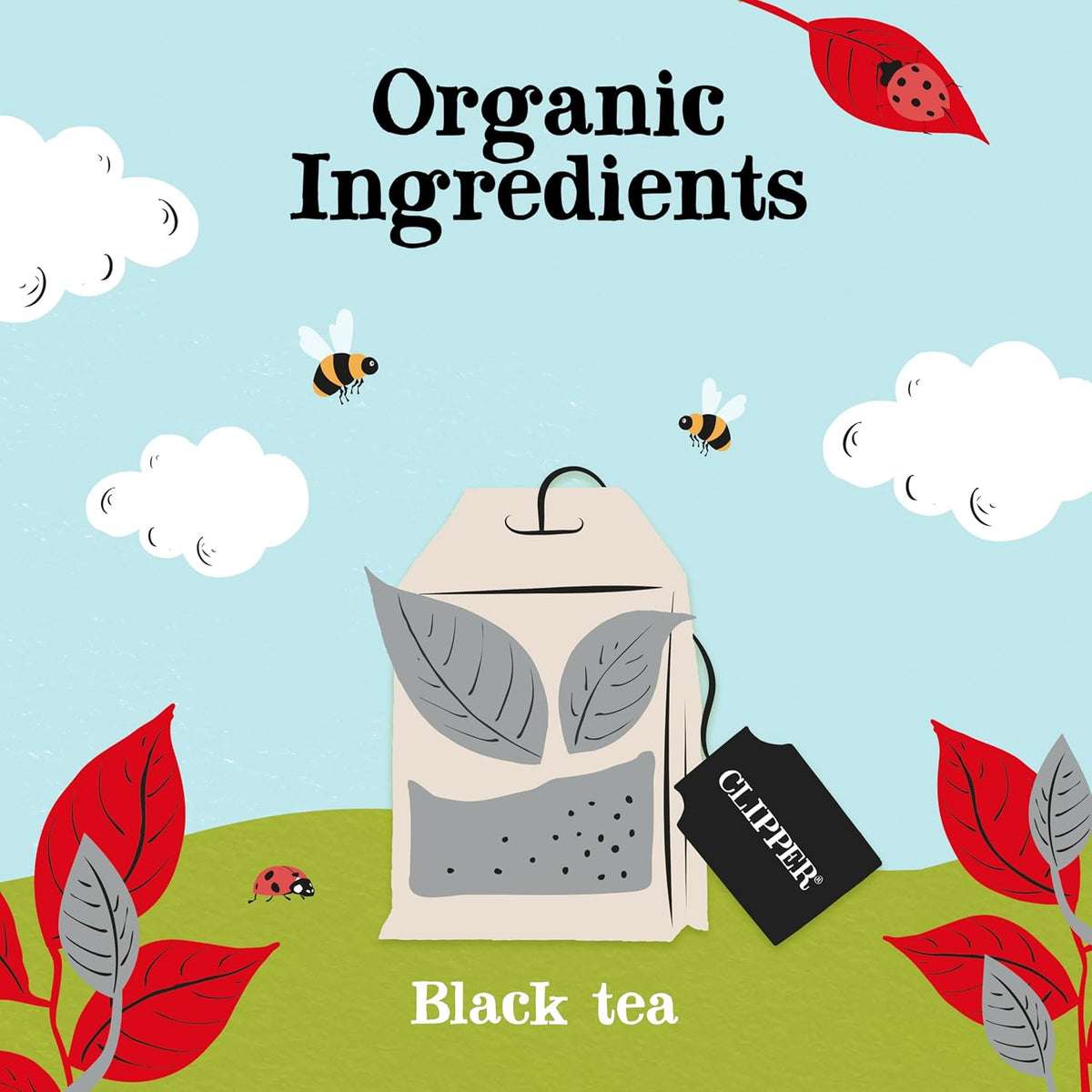 Clipper Tea, English Breakfast Assam Blend, Fairtrade, Organic, Plant-Based, Caffeinated British Tea, 1 Pack, 80 Unbleached Tea Bags
