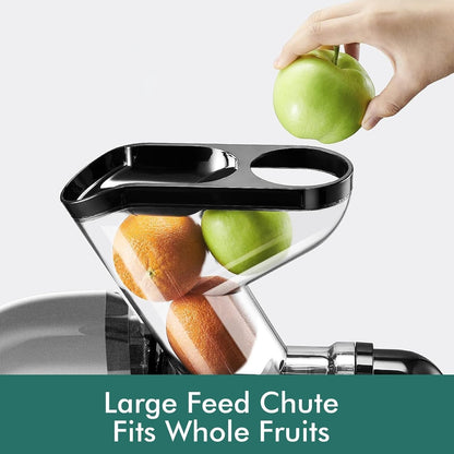 SiFENE Cold Press Juicer Machine, Wide 3.2-Inch Dual Feed Chute, Slow Masticating Juicer for Whole Large Fruits Vegetables, Easy Clean, Non-BPA (Gray)