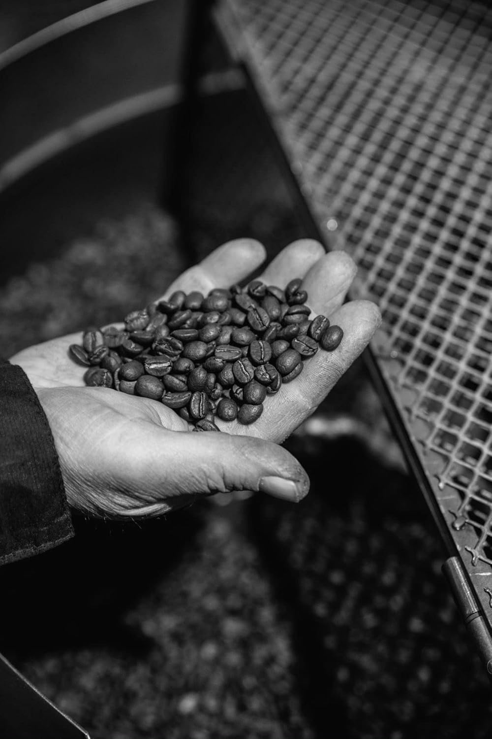 Bristot 100% Arabica Espresso Beans, Italian Espresso Beans, Medium Roast, 1.1lb/500g