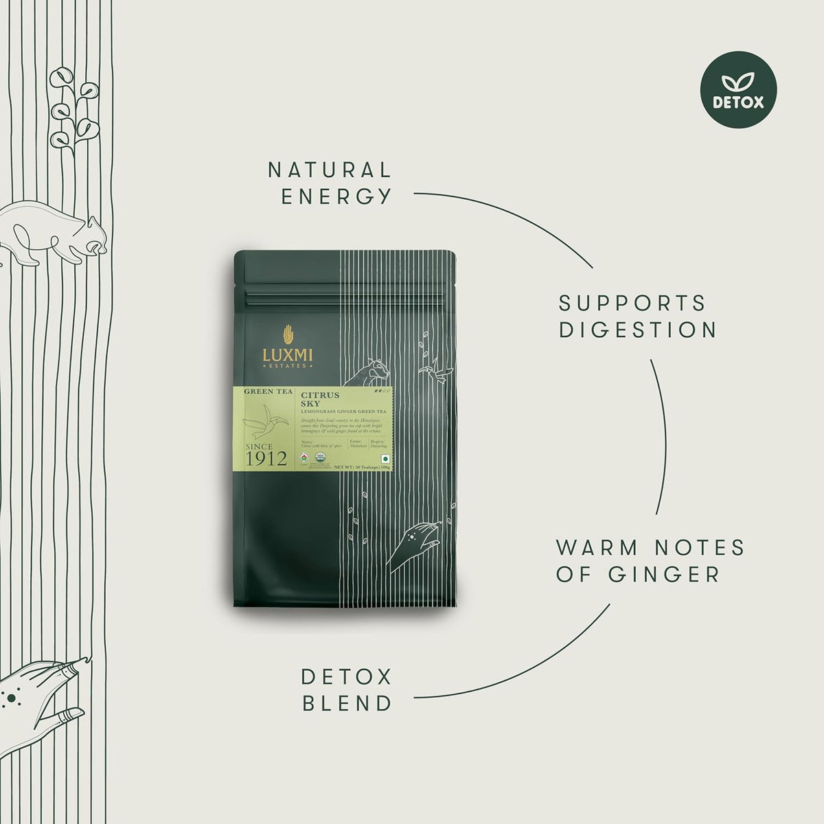 Luxmi Estates Citrus Sky Lemongrass Ginger Green Tea 50 Tea Bags (100g) Pack | Certified Organic Darjeeling Green Tea | Natural Lemon Balm Tea - Calming, Supports Digestion | 50 Cups Bulk Pack