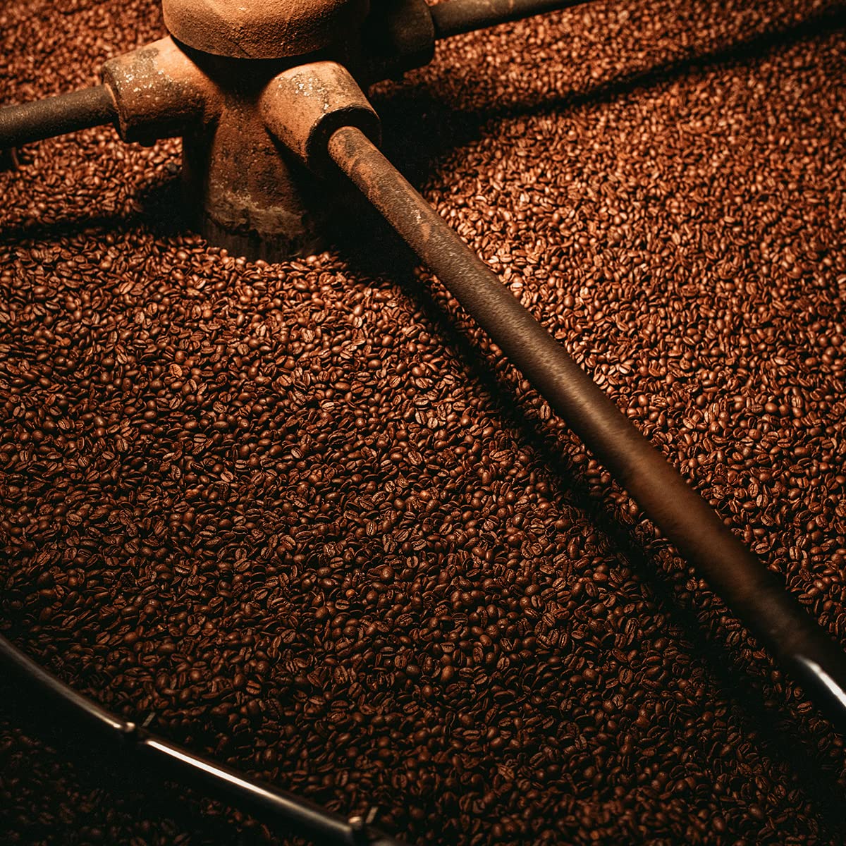 Bristot 100% Arabica Espresso Beans, Italian Espresso Beans, Medium Roast, 1.1lb/500g