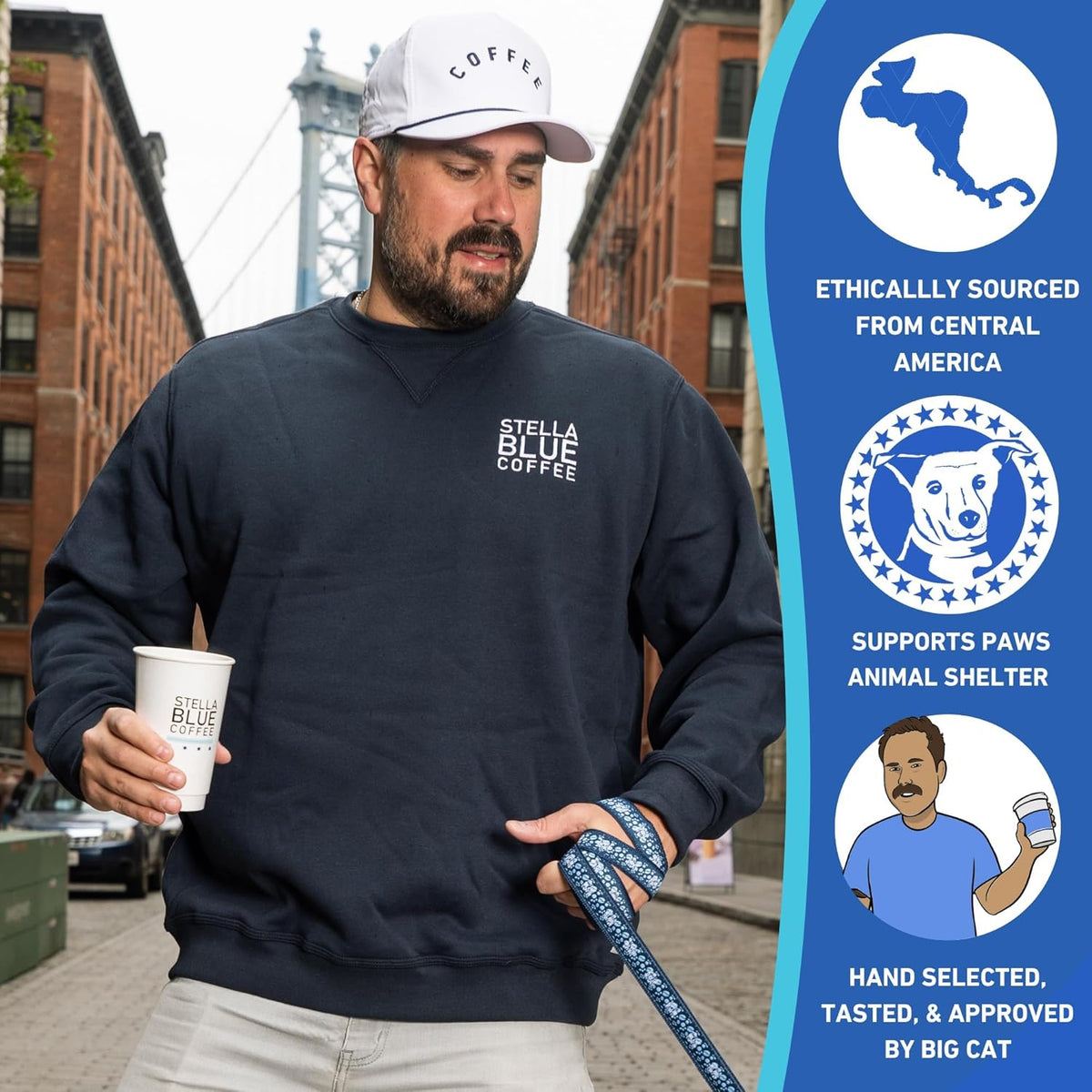 STELLA BLUE Fresh Cold Brew Coffee | Electric Avenue Blend | 100% Arabica Dark Roast | Bold Toffee and Dark Chocolate with Smoky Notes | 6 Brew Packets for Cold Brew | Makes 24 Smooth Bold Cups