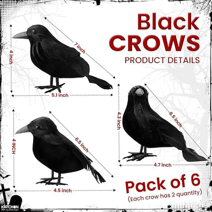 KatchOn, Black Crows with Eyes Halloween Decorations – Pack of 12 | Realistic Feathered Crows for Indoor Outdoor Halloween Decor | Scary Raven Decorations for Haunted House