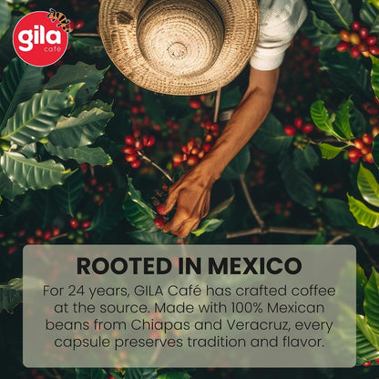 gila cafe Lungo Coffee Capsules, Nespresso Original, Medium Roast, 60ct