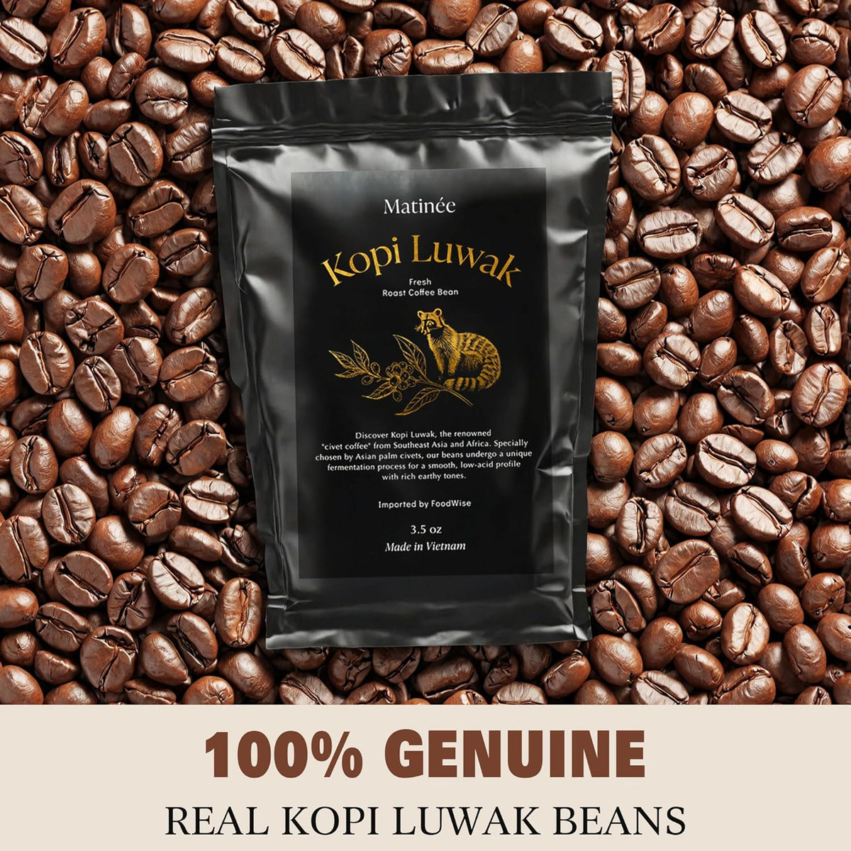 Matinée Wild Kopi Luwak Coffee Whole Beans, Medium Roast Luwak Coffee Gifts, Produce of Vietnam, 3.5oz / 100 Grams