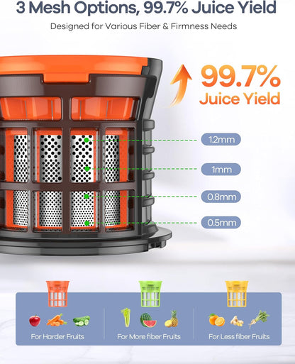 Ganiza Juicer Machines, Cold Press Juicer with 4.3" Large Feed Chute for Whole Fruits & Vegetables, Slow Masticating juicers with 3 Replace Filters for Batch Juicing, Easy to Clean, BPA Free(Silver)