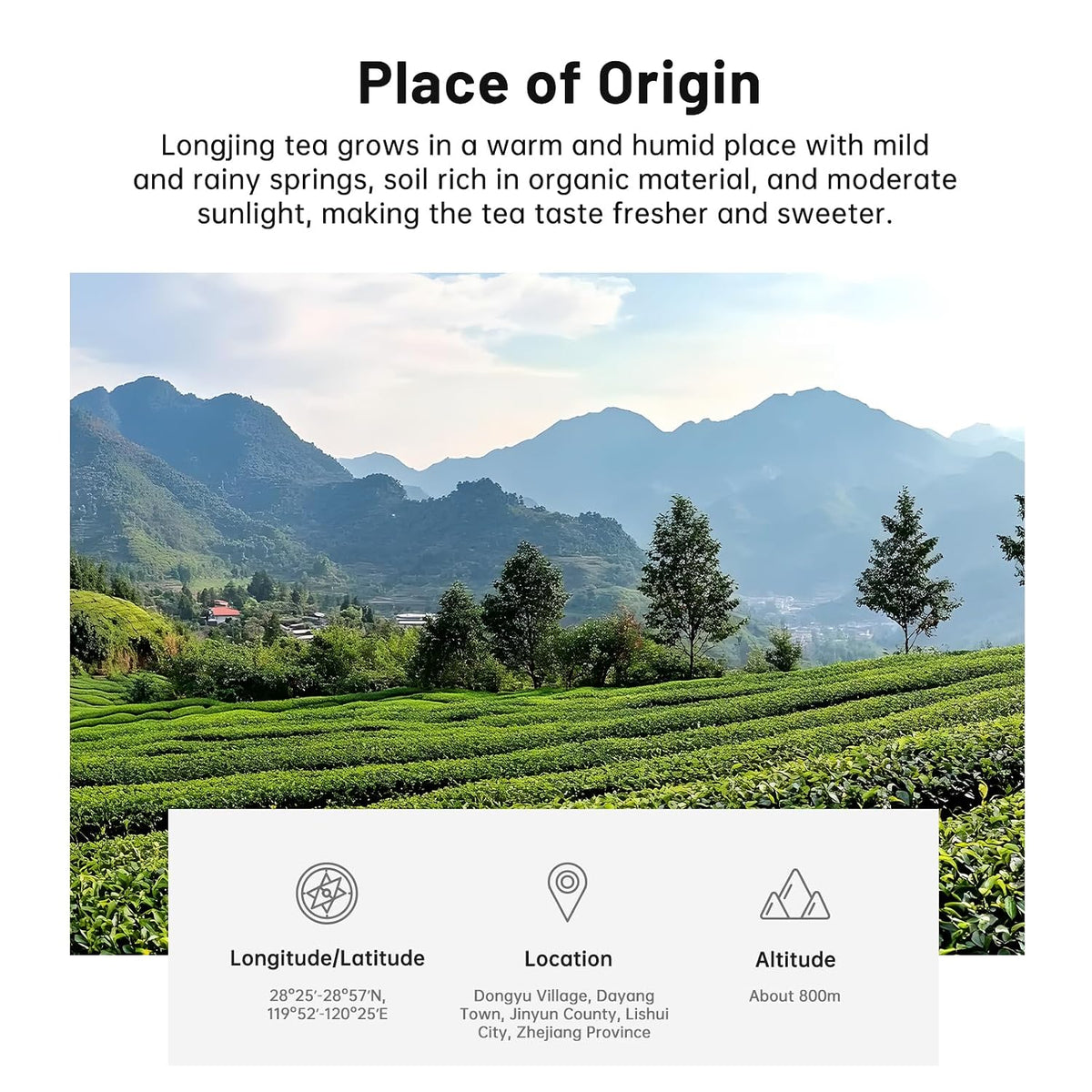 iTeaworld LongJing,Chinese Loose Leaf Green Tea,Dragon Well Tea 3.5oz | Up to 200 Cups|Rich Bean Aroma|Refreshing|Pure Loose Leaf Green Tea Unsweetened|Easy Mug Cold&amp;Hot Brewing