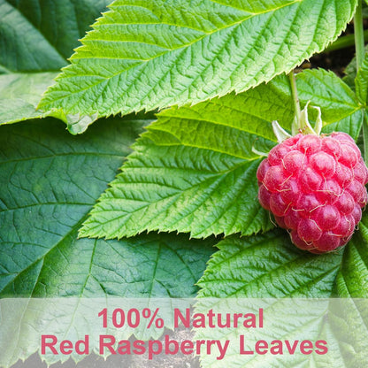 Tearelae - Raspberry Leaf Tea - 1.5g x 60 Count - Premium Red Raspberry Leaves Tea Bags - Promote a Healthy Pregnancy, Ease Menstrual Cramp