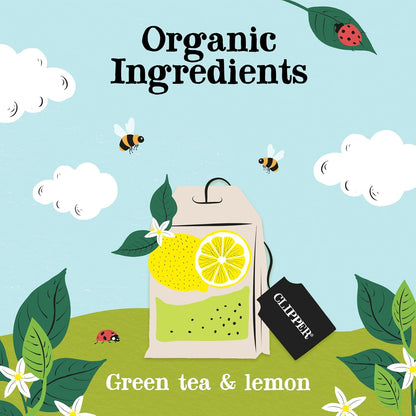 Clipper Tea Green Tea & Lemon Teabags – USDA Organic, Great Hot or Iced – Bright, Zippy, Natural, Fair & Delicious – 50 Tea Bags